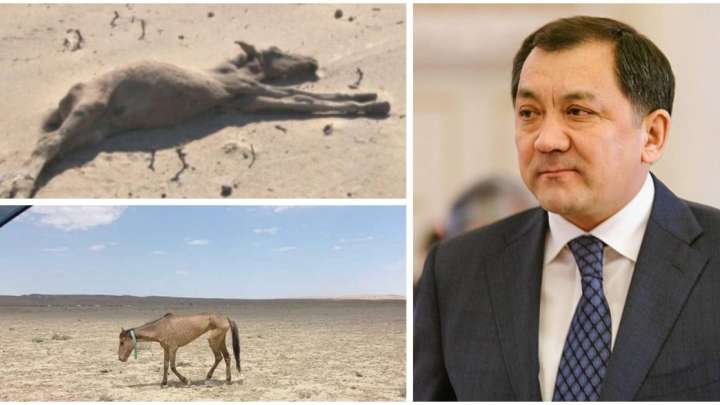 Қуаңшылықтан титықтаған шаруалар: «Жаңа әкімнің түрін көрмедік»