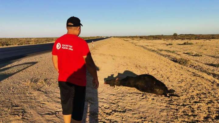 USAID Маңғыстауда қуаңшылықтан зардап шеккендерге көмек көрсетуде