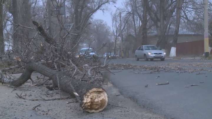 Жамбыл облысында болған дауыл салдарынан бір бала көз жұмды
