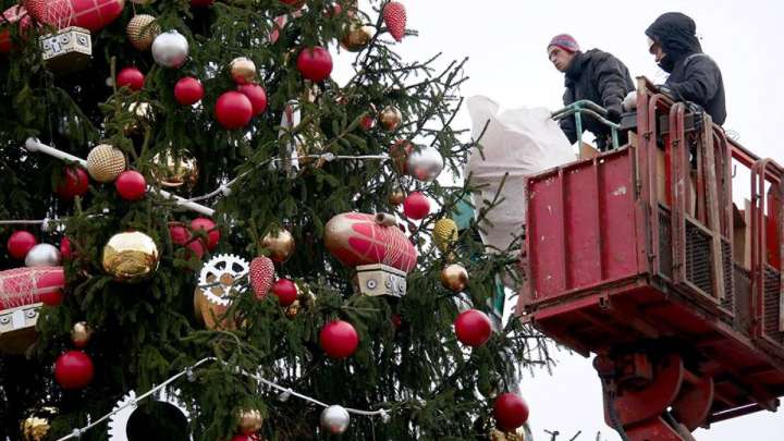 «Елки акимов» ждут в любой зоне
