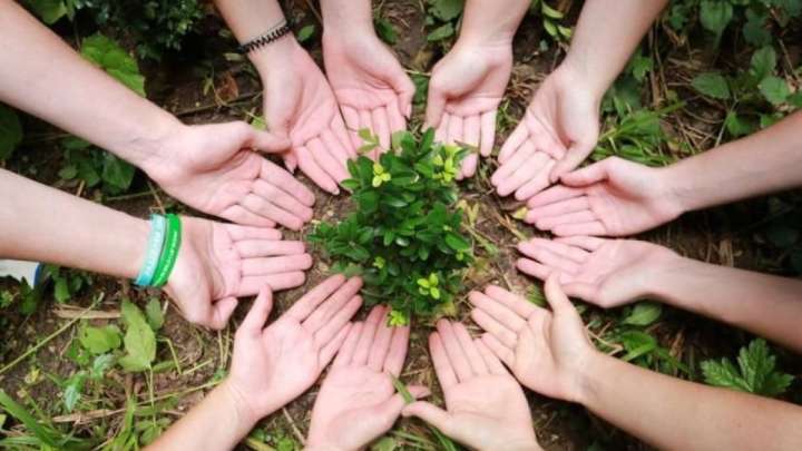 Эковолонтерлік: Cіз үшін ең жақсы 10 бағдарлама