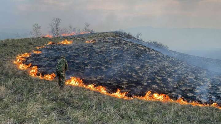 Шығыс Қазақстанда өрт сөндірушілер 26 аумақта дала өртін сөндіріп жатыр
