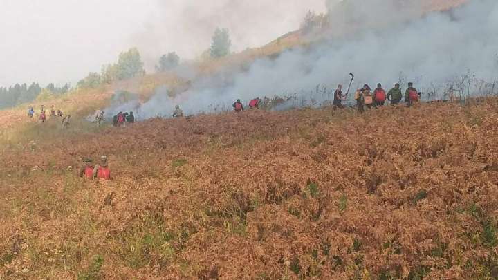 Шығыс Қазақстандағы өрт 700 га жерді шарпыды