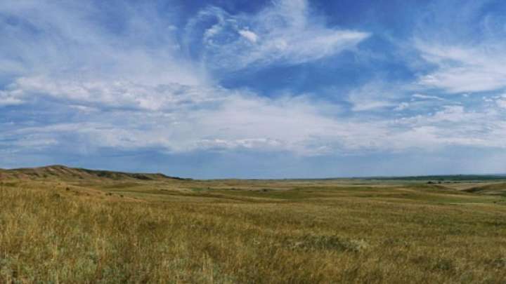 Олигополия меншігіндегі 140 мың га жер мемлекетке қайтарылды