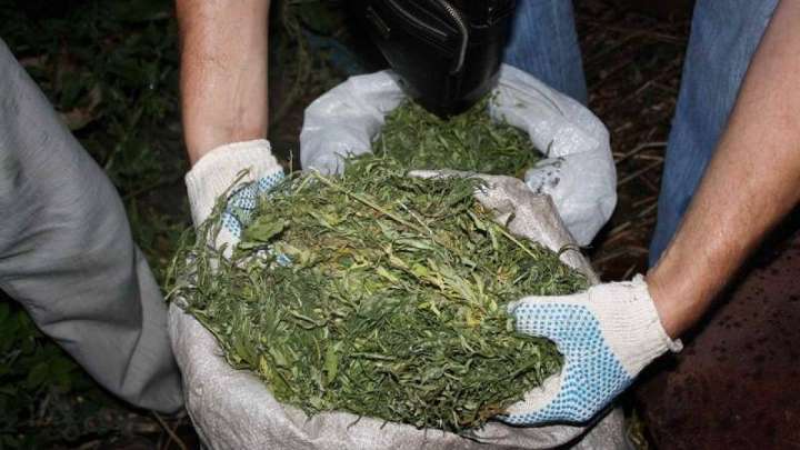 Бес айда 1275 есірткі қылмысы жасалған