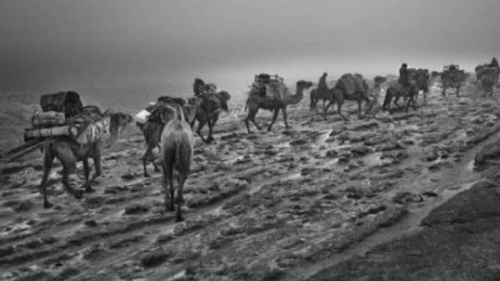 Гималай асқан көштің соңғы  куәгері: «Түркияға жеткенше маңдайымыз жазылмады, қабағымыз ашылмады»         