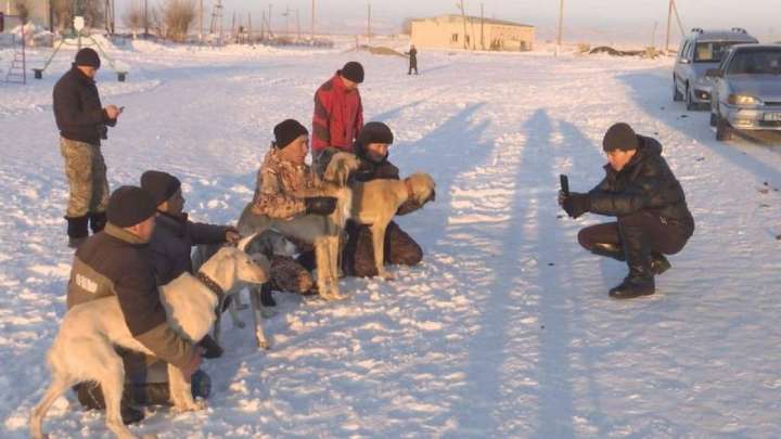 Әр үйінде тазы өсіретін ауыл