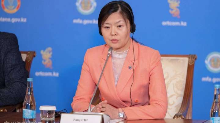 Шетелдік байқаушы: Қазақстанда жылдан жылға демократия деңгейі артып келеді 