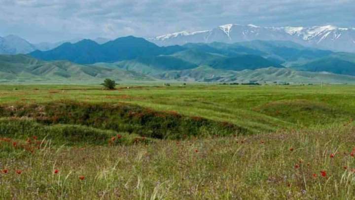 Қазақстанның жері Қытайға сатылып жатыр ма? Министрлік жауабы. 