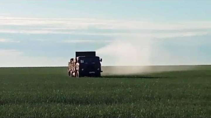 Қостанайда шегірткеге қарсы химиялық майдан ашылды