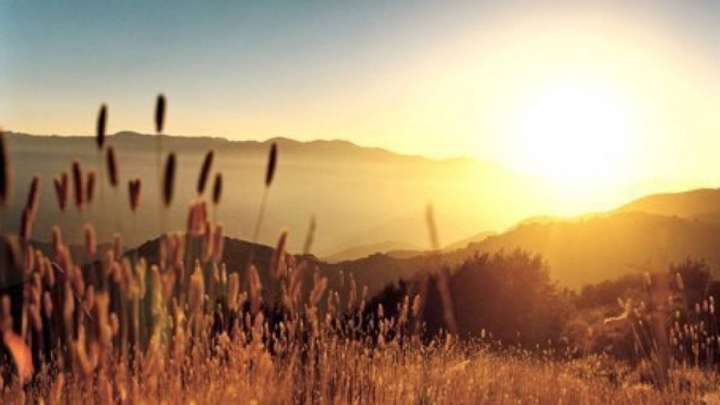 6 шілде планетадағы рекордтық ең ыстық күн болды