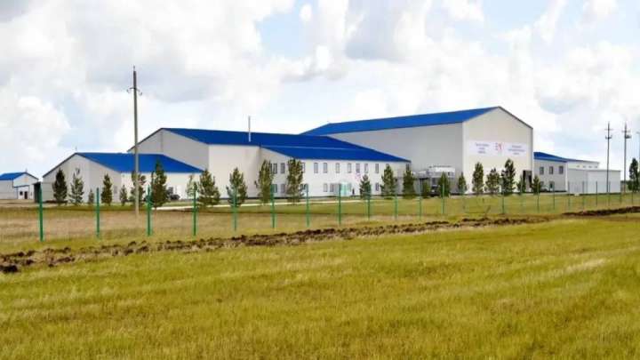 Миллиардердің жұмысшылары қаза болды