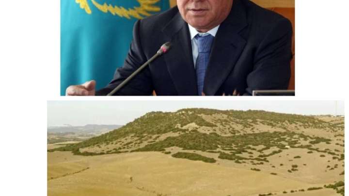 Назарбаевтың немере інісі Ахметжан Есімовтің заңсыз істері анықталуда