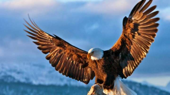 Жаңа Қазақстан құру үшін өзгерісті әр адам өзінен бастау керек