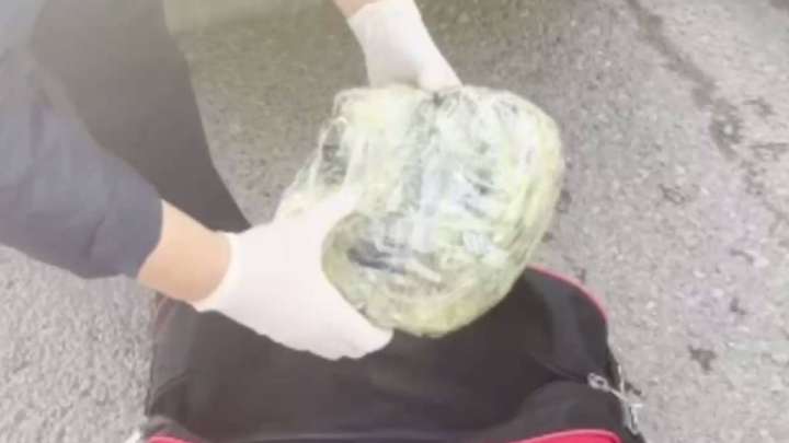 Шымкентте такси жолаушысынан аса ірі көлемде «синтетика» тәркіленді