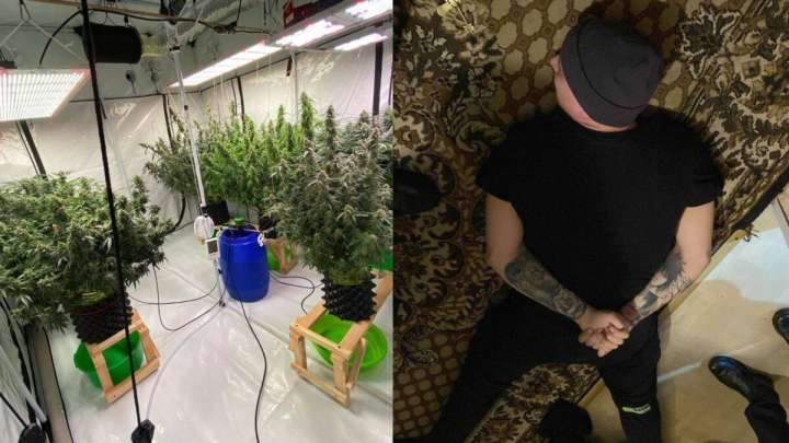 Қостанайда екі бөлмелі үйде есірткі өсіретін зертхана анықталды