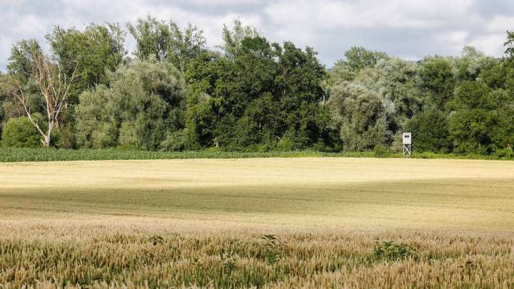 «Scat» әуе компаниясы жалға алған аңшылық алқап мемлекетке қайтарылды