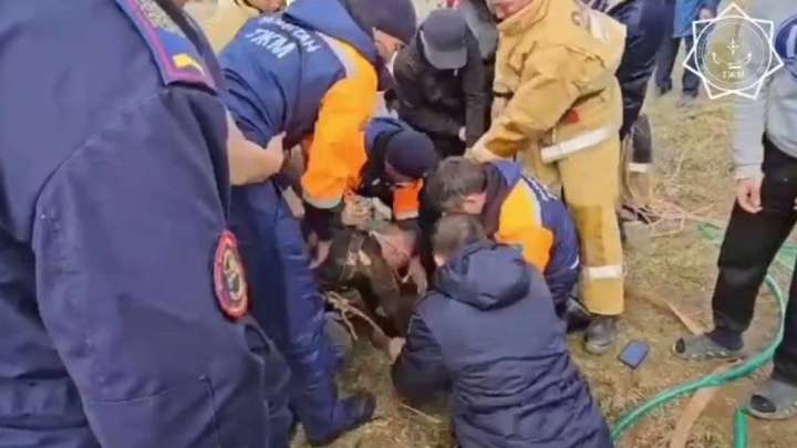 Түркістанда құдыққа құлаған қыз ес-түссіз күйінде шығарылды