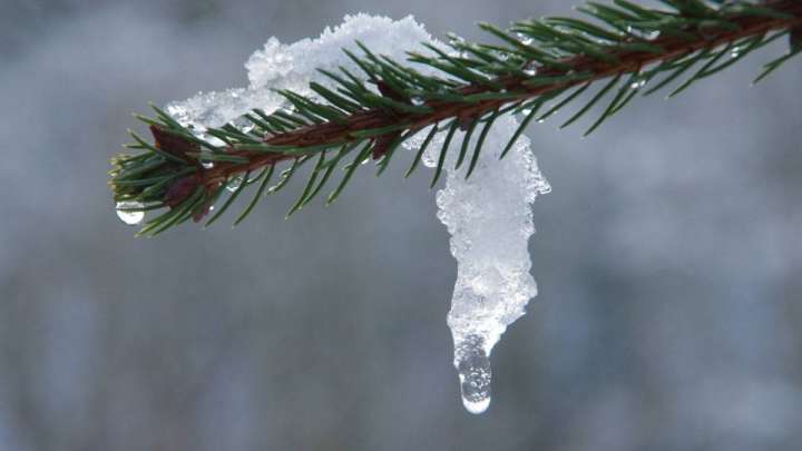 Қазгидромет мереке күндеріне арналған ауа райы болжамын жариялады