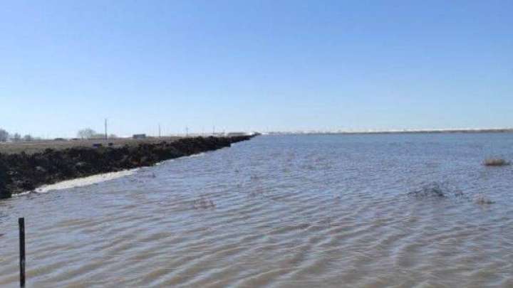 Төрт жасар бала сайдағы суға батып кетті