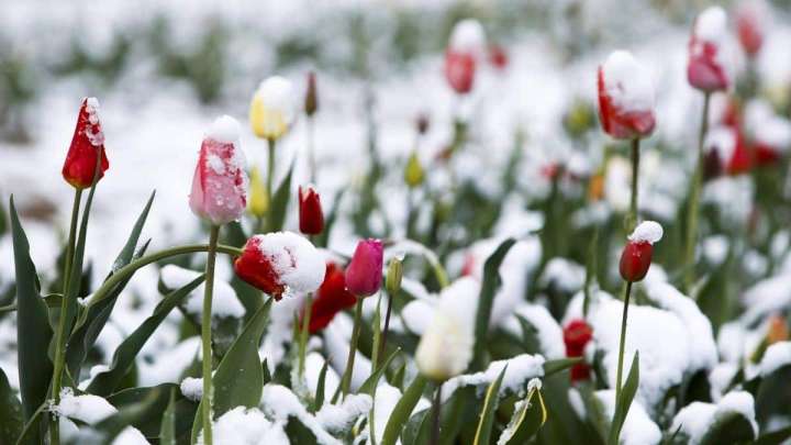 Қазақстанда қар жауып, күн суытады