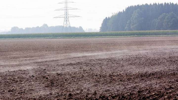 Ақмола облысында жерді шетелдіктерге жалға бергендер анықталды