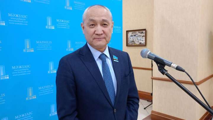 Мәжіліс депутаты еліміздің жылу энергетикасындағы делдалдар жайлы айтты