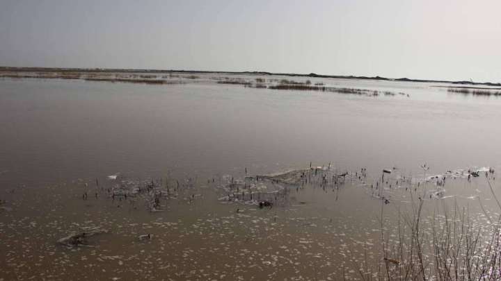 Құлсары қаласын қарғын су басты