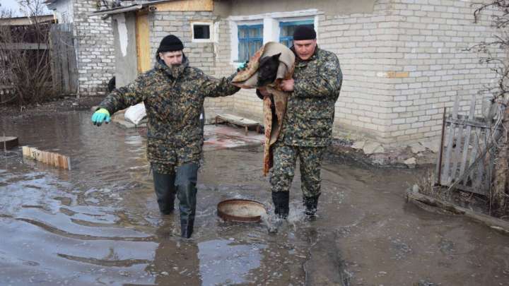 Су тасқыны: Өңірлерге 15 мың полиция қызметкері мен Ұлттық ұлан сарбаздары жұмылдырылған