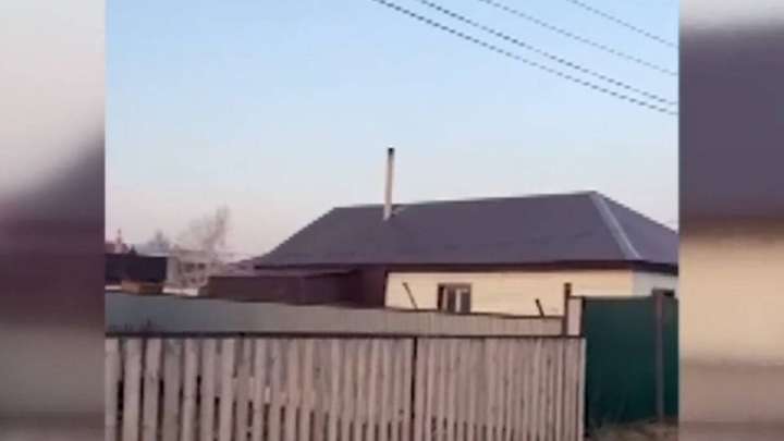 Ақмола облысында зейнеткер әйел асырап алған екі жасар баласын өлтіріп, ауласына көміп тастаған