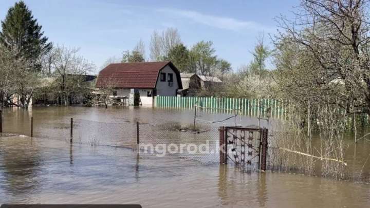«Президентке үндеу жаздық!»: БҚО-да үйі су астында қалған саяжай тұрғындары әкімдікке наразы