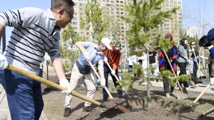 «Таза Қазақстан»:  Жезқазған қаласында 100 тал ағаш отырғызылды