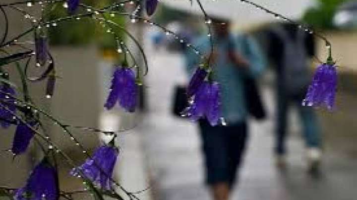 Найзағай, жаңбыр, бұршақ: Синоптиктер ескерту жасады