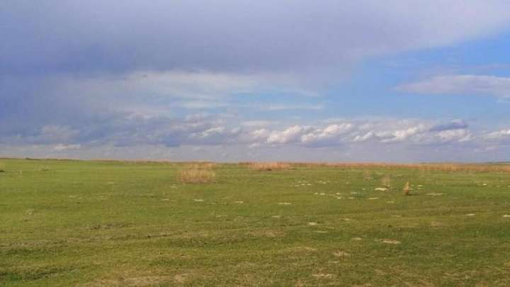 Абай облысында әкімдік жерге қатысты заңсыз қаулы шығарған