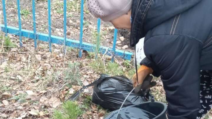 Ұзынкөлде 1400 ағаш отырғызылды