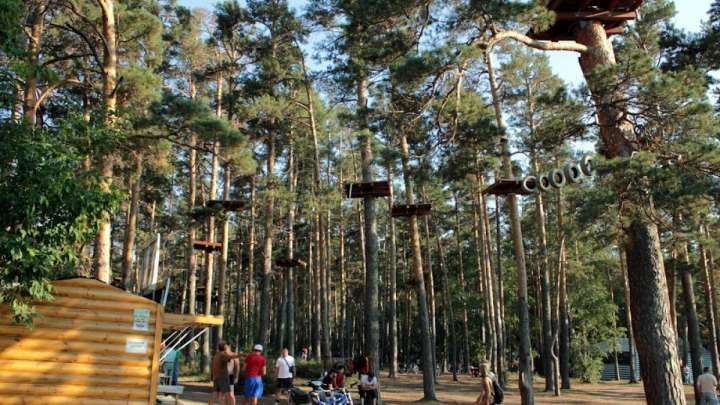 Бурабайда астаналық жасөспірім ағашқа соғылып, қаза тапты