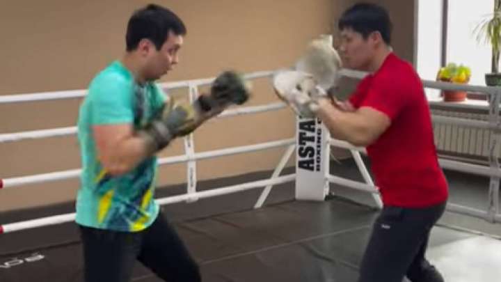 Боксшы-шенеунік: Антикор басшысының рингтегі видеосы қызу талқыланып жатыр