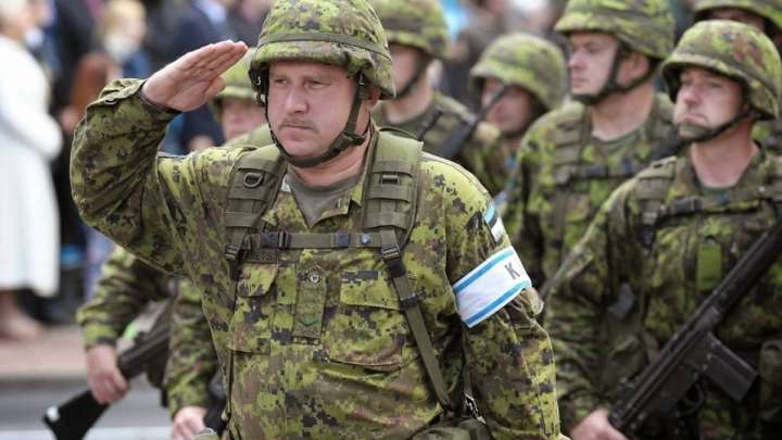 Эстония үкіметі Украинаға әскер жіберуге ниетті екенін мәлімдеді