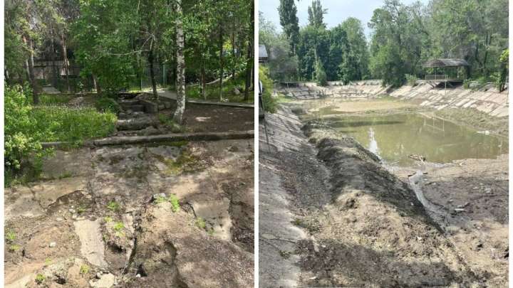 Алматыдағы Тереңқұр аллеясының көрінісі жұрттың жағасын ұстатты