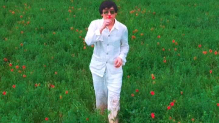 «11 млн айыппұл». Қайрат Нұртас гүл жұлып, жұртты шулатты