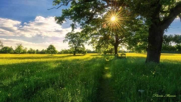 Маусымда ауа температурасы қалыпты болады