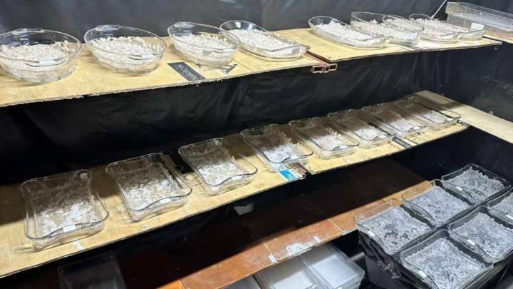 7 келі меф, 200 литр прекурсор... ҰҚК Алматыда есірткі зертханасын тапты (ФОТО, ВИДЕО)