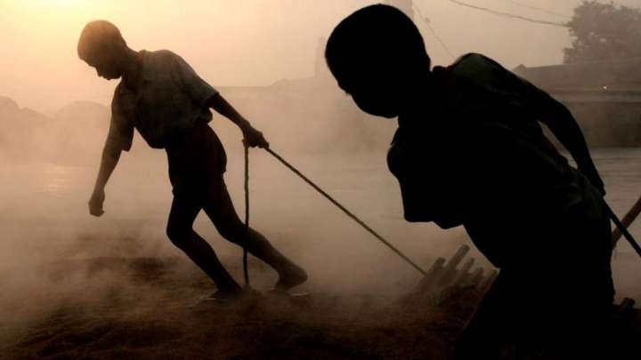 «Ит-мысықтың етін берген»: Шымкентте 6 бала асырап алған ер адам оларды қорлаған