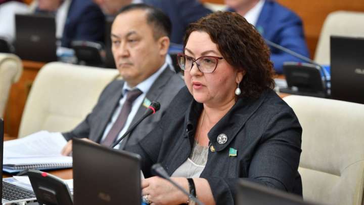 «Болашақ» бағдарламасының бізге қажеті жоқ – депутат