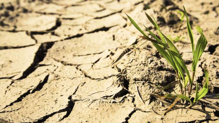 Маусымда еліміздің бірқатар өңірінде құрғақшылық болады