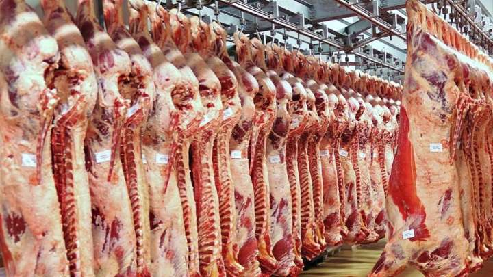 Түркия ет экспортына салынған шектеудің күшін қойды