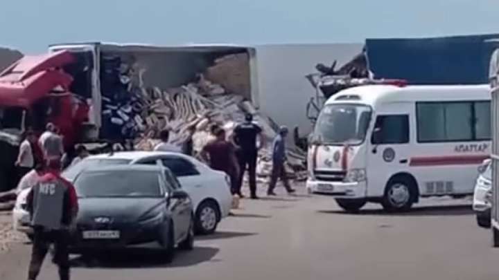 Қарағандыда жамбылдық 3 көкпаршы қайтыс болды