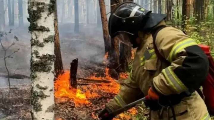 ШҚО-да 6 орман және 12 дала өрті сөндіріліп жатыр