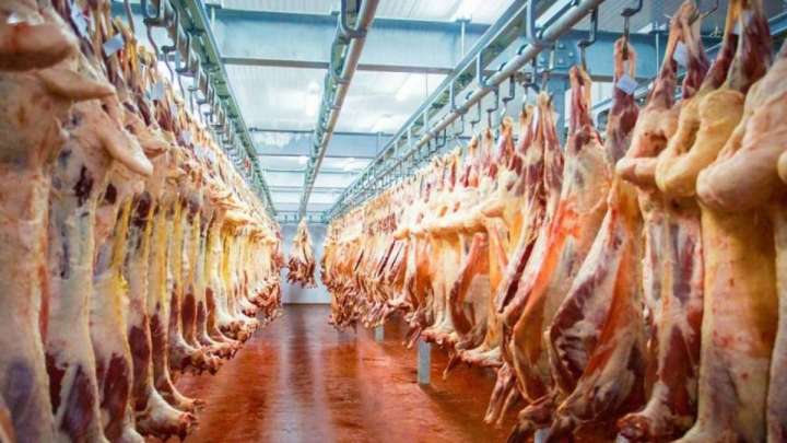 Қазақстан Қытайға 20 тонна сиыр етін экспорттады