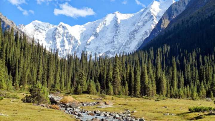 Алматыда 7 бірдей жасөспірім таудан түсе алмай қалған